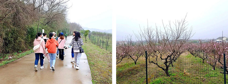 盼盼木業(yè)集團旗下品牌 盼盼木業(yè)集團旗下品牌